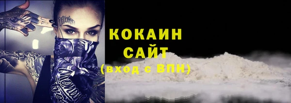 мдпв Осташков