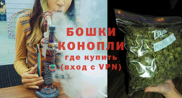 мдпв Осташков