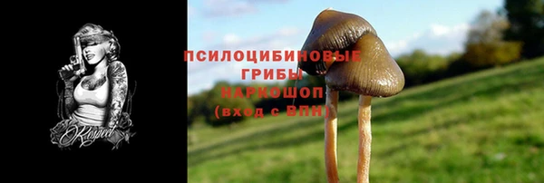мдпв Осташков