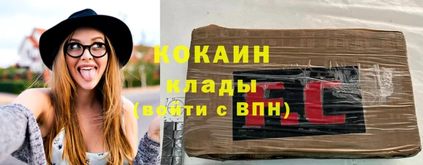 мдпв Осташков