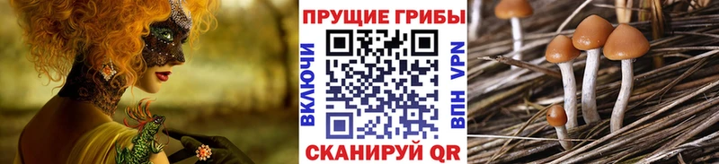Псилоцибиновые грибы прущие грибы  Александровск 